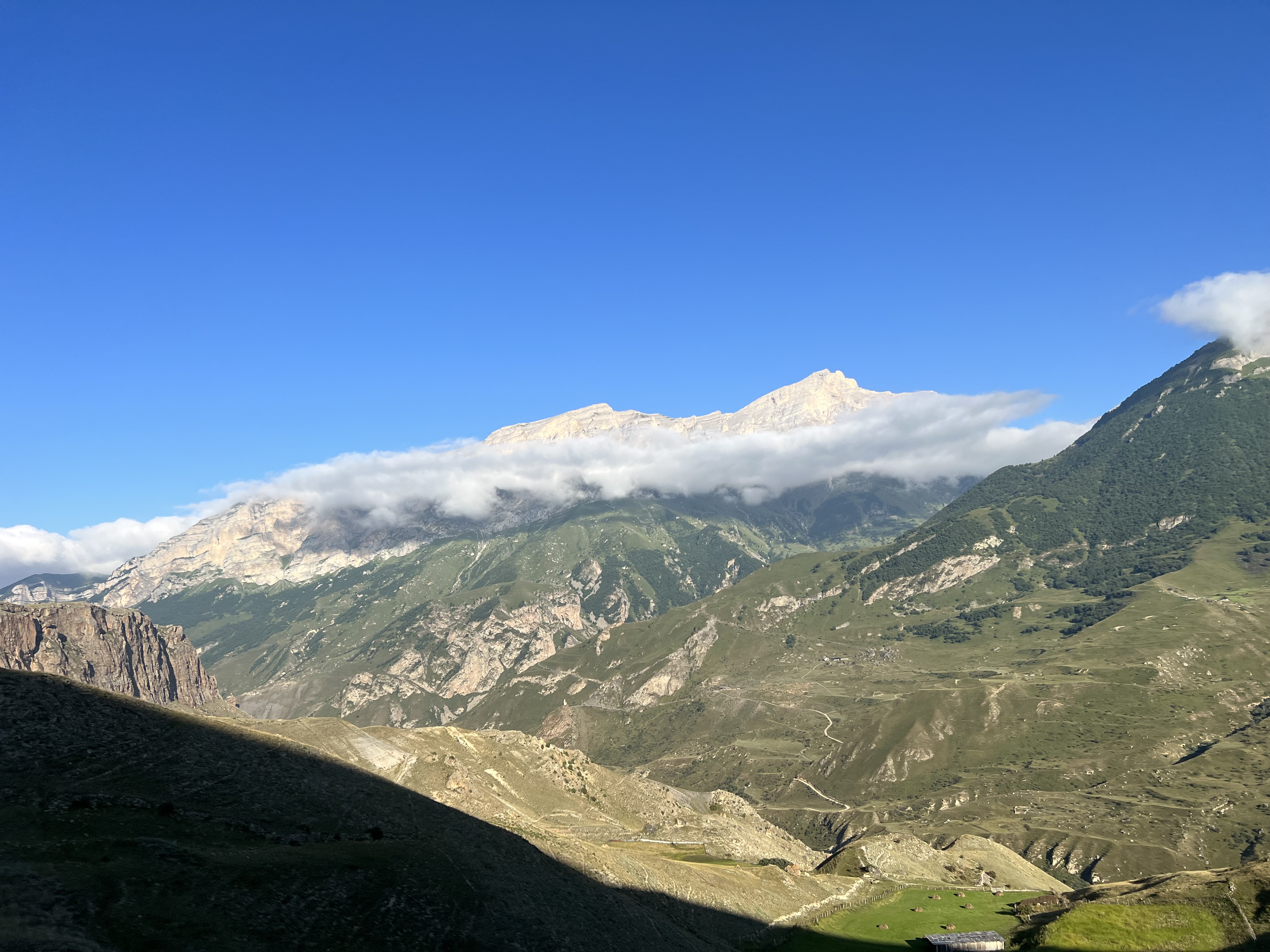 IMG_8942.JPG