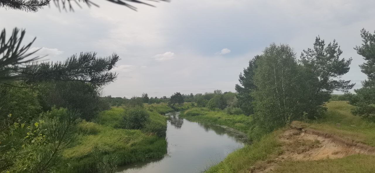 Как правильно отдыхать на природе?